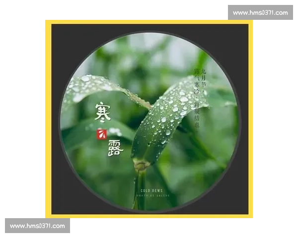 寒露时节秋意渐浓描绘自然万物变迁与人间温情交织的深秋画卷