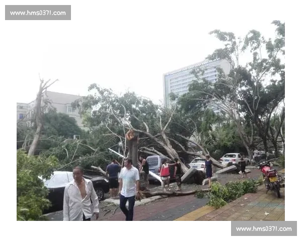 台风追至深圳：思念跨越千里的告白