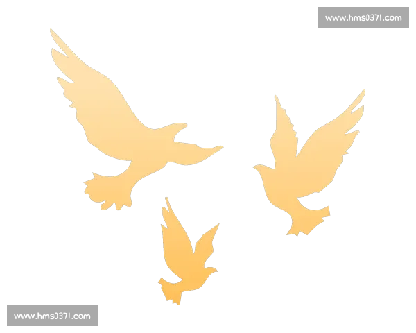 不止步于胜利，电竞文化纪录，书写不朽传奇