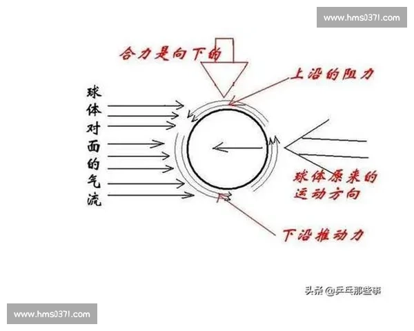 欧洲新势力崛起！削球手克星来看看他们的弧圈球有多可怕！